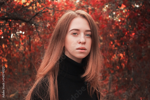 Autumn portrait of a beautiful cute woman against a background of bright red leaves. Warm black sweater