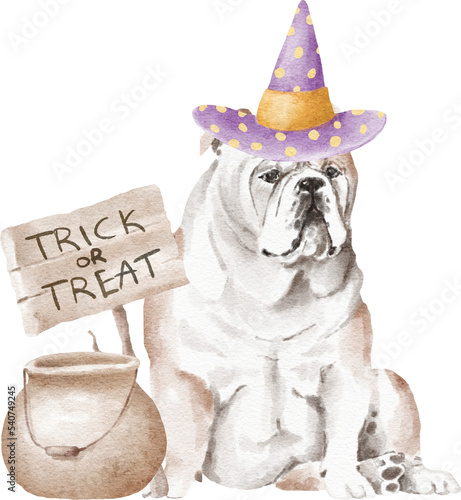 English bulldog halloween illustration