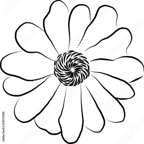 Daisy flower beautiful illustration and drawing in eps file. Can use for business purpose like shirt design, mug design and stickers.