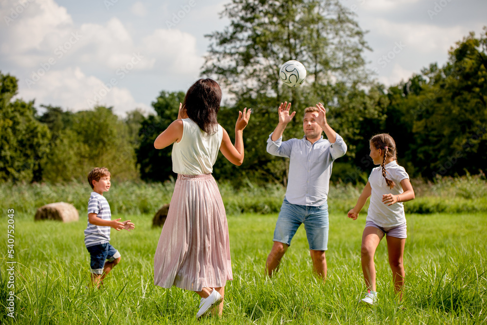 Fototapeta premium Parents with children playing ball in the park on green grass