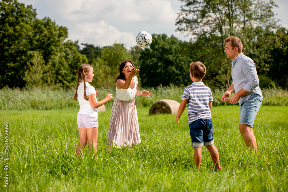 Happy family playing ball in the park on green grass Happy family playing ball in the park on green grass