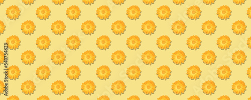 Fototapeta Naklejka Na Ścianę i Meble -  Pattern of orange flowers isolated on a yellow background. Orange Calendula or Calendula officinalis flower with water drops after rain.
