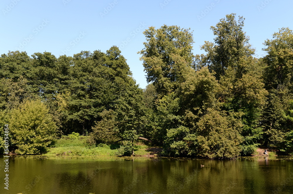 Upper Kuzminsky Pond in the natural-historical park 