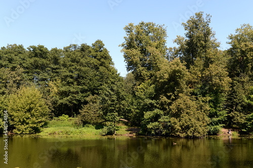 Upper Kuzminsky Pond in the natural-historical park  Kuzminki-Lyublino . Moscow