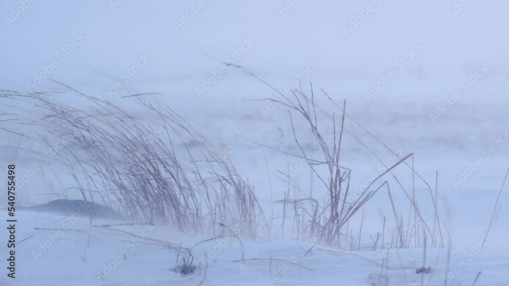 Strong wind and snow particals on frozen ground. Strong wind and snow particals on frozen ground.