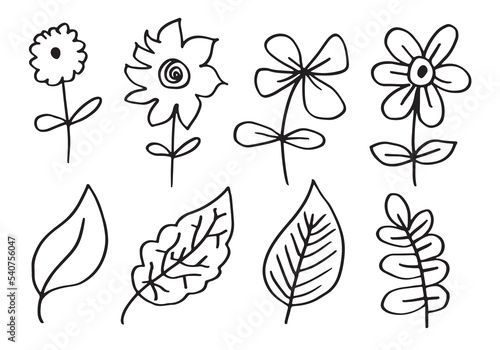 Hand drawn black floral elements.flower and branches doodle.