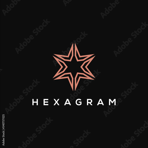 line art hexagram star logo vector template photo