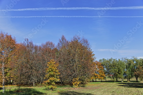 Autumn trees in the European park at Sunny october day on blue sky with plane vapor exhaust background