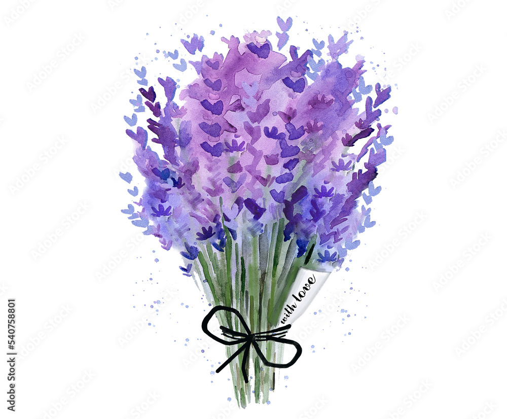 Fototapeta premium Lavender bouquet isolated png. Herb plant. Floral detail for card, postcard, wedding invitation, greeting, pattern. Watercolour illustration on white background.