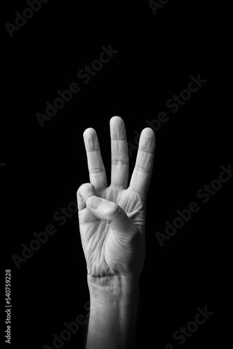 Hand demonstrating the Japanese sign language letter 'WA' or 'ゎ' with copy space © GrumpyLivesHere