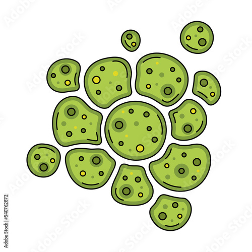 Sketch edible green seaweed Chlorella isolated on white background. Asian traditional cuisine.