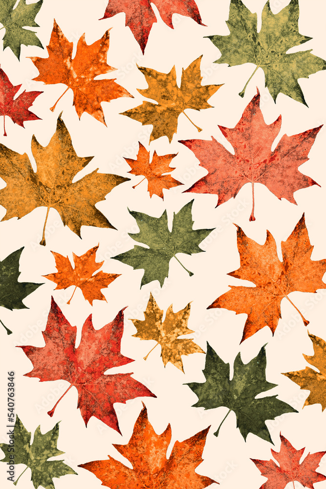 Obraz premium Colorful fall, autumn maple leaves