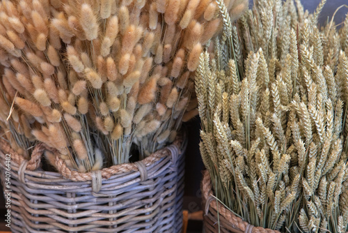 Two full baskets of rabbit bunny tales grass and ears of wheat. photo