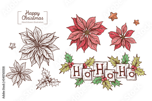 Vector set of hand drawn winter christmas plants: poinsettia, holly branches, text Ho-ho-ho in graphic style. Hand drawn Merry Christmas illustration for sticker, invitation, card, textiles, design
