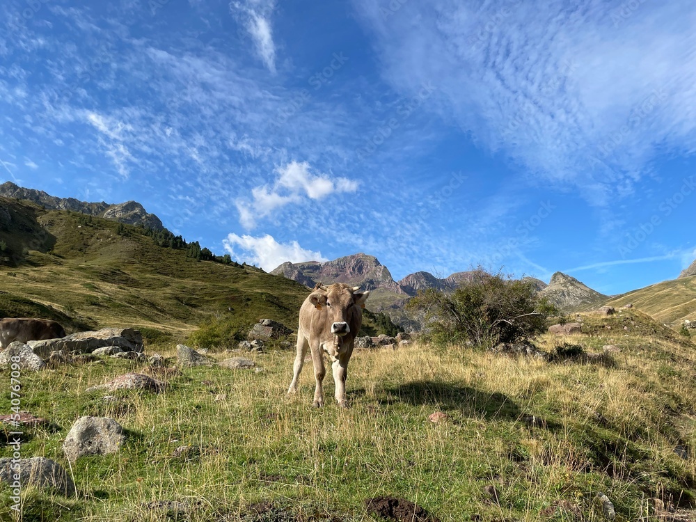 Fototapeta premium Turismo rural 