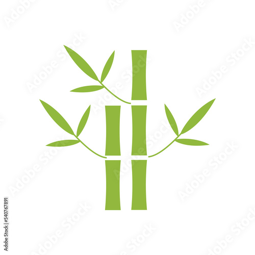 Fototapeta Naklejka Na Ścianę i Meble -  Bamboo trees in green