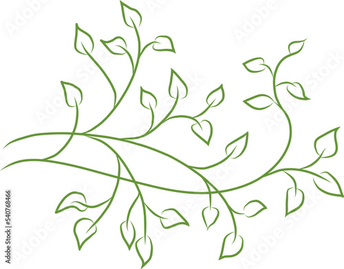 Floral design of ivy or vine leaves, wedding border design png, green climbing vines vector, hand drawn project decoration, elegant nature clip art