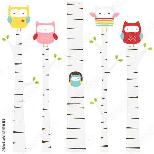 Cute illustration set of owls in birch trees