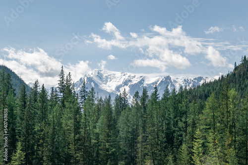 Atmospheric landscape with coniferous trees in valley with view to large snow mountains in bright sun under clear blue sky © Vladislav Fokin