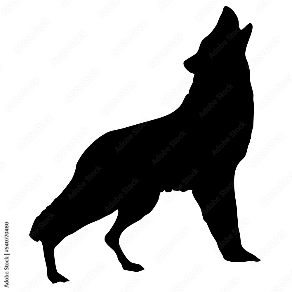 black howling wolf whole body silhouette Stock Illustration | Adobe Stock