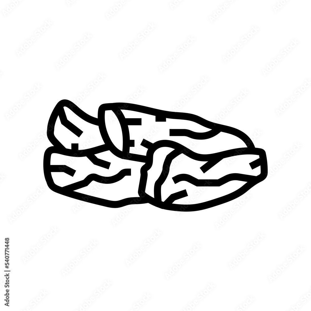 papaya dried fruit line icon vector. papaya dried fruit sign. isolated contour symbol black illustration papaya dried fruit line icon vector. papaya dried fruit sign. isolated contour symbol black illustration