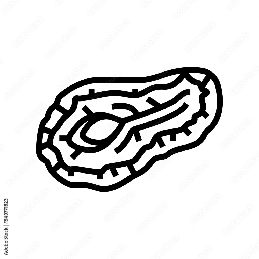 pear dried fruit line icon vector. pear dried fruit sign. isolated contour symbol black illustration pear dried fruit line icon vector. pear dried fruit sign. isolated contour symbol black illustration