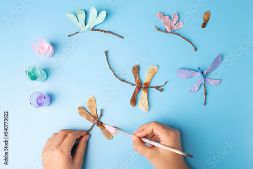 craft dragonfly from natural materials