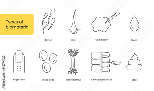 Types of biomaterial a set of line icons in vector, illustration of human sperm and hair, blood and nails, cerebrospinal fluid and bone marrow.