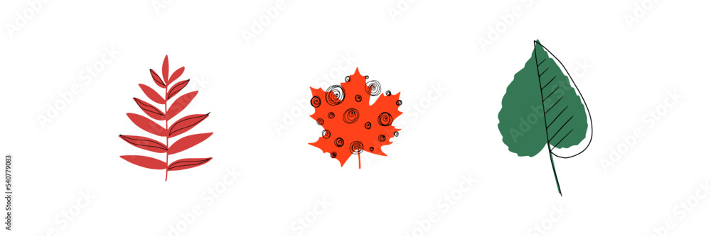 Fall leaf icon vector illustration set. Hand drawn 3 colorful design. Isolated graphic symbols. Autumn sign. Boho scandi colors. Nature abstract concept. Line art. Grey background. Red, green Fall leaf icon vector illustration set. Hand drawn 3 colorful design. Isolated graphic symbols. Autumn sign. Boho scandi colors. Nature abstract concept. Line art. Grey background. Red, green