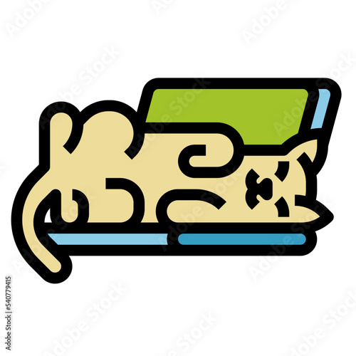 cat flat icon