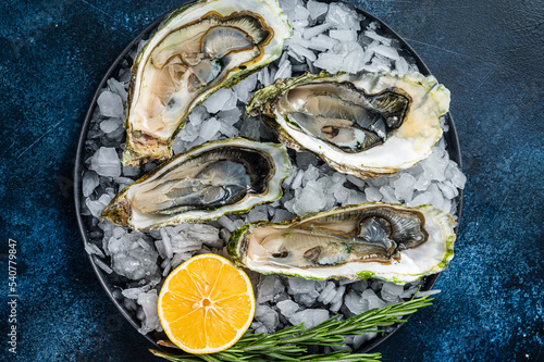 Seafood appetizer - Opened Fresh oysters with lemon and ice. Blue background. Top view