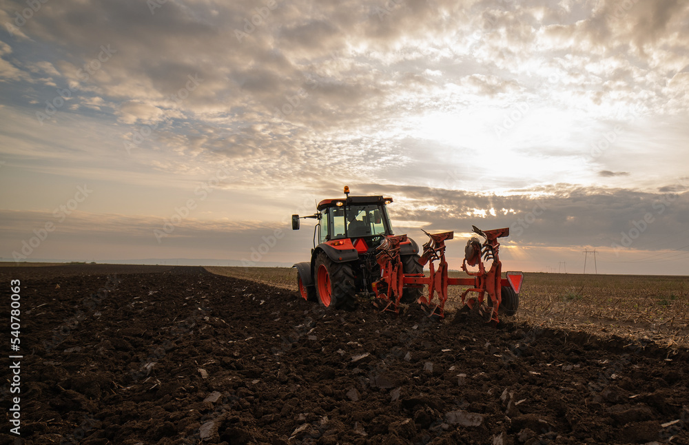 Fototapeta premium Tractor on the field during sunset.