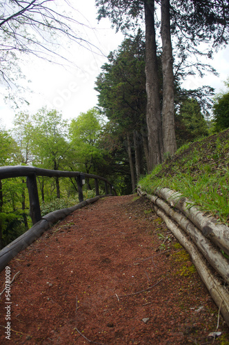 Sendero en el bosque