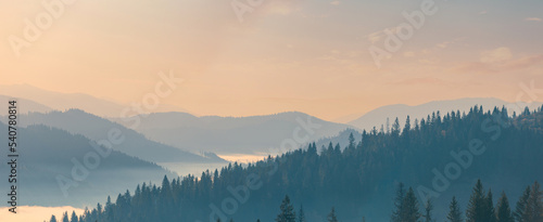 Beautiful autumn scenic panorama of Carpathian mountains in the early morning. The mountain range with tonal foggy perspective. Spruce forest on mountain hills.