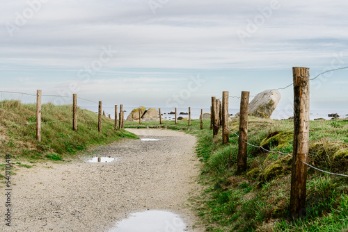 Fototapeta Naklejka Na Ścianę i Meble -  wooden poles on the beach of the Atlantic Ocean
