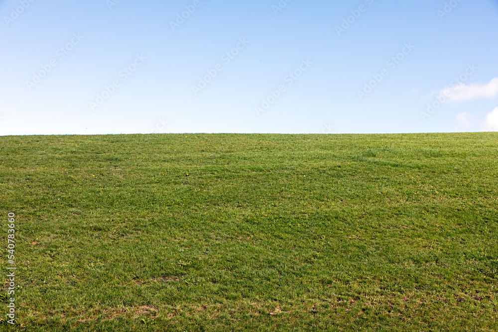 Fototapeta premium Wiese und blauer Himmel