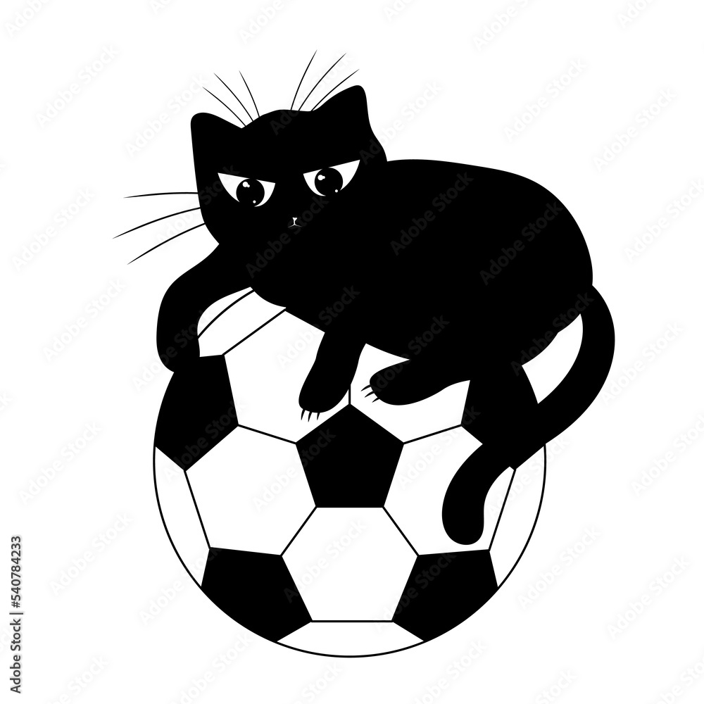 Fototapeta premium Soccer ball and black cat.