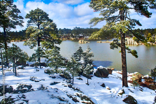 lake on winter with pine trees covered of snow, arareco lake in creel chihuahua 