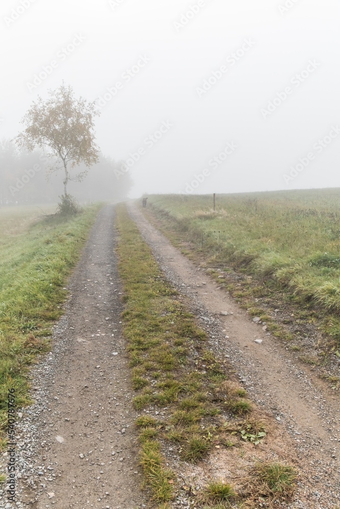 Countryside dirt road in foggy winter morning in Czech Republic. Country road in the fog. Autumn foggy landscape. Dream landscape. Countryside dirt road in foggy winter morning in Czech Republic. Country road in the fog. Autumn foggy landscape. Dream landscape.