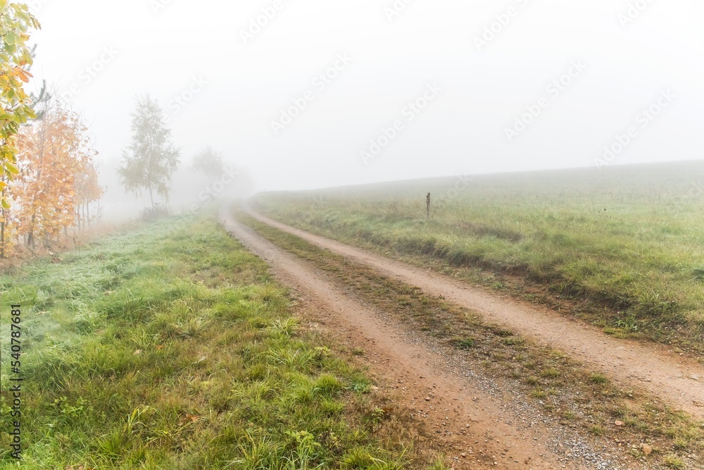Countryside dirt road in foggy winter morning in Czech Republic. Country road in the fog. Autumn foggy landscape. Dream landscape.