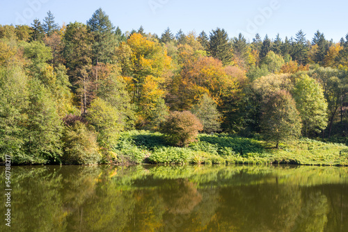 Small lake surrounded by forest with colorful plants at autumn