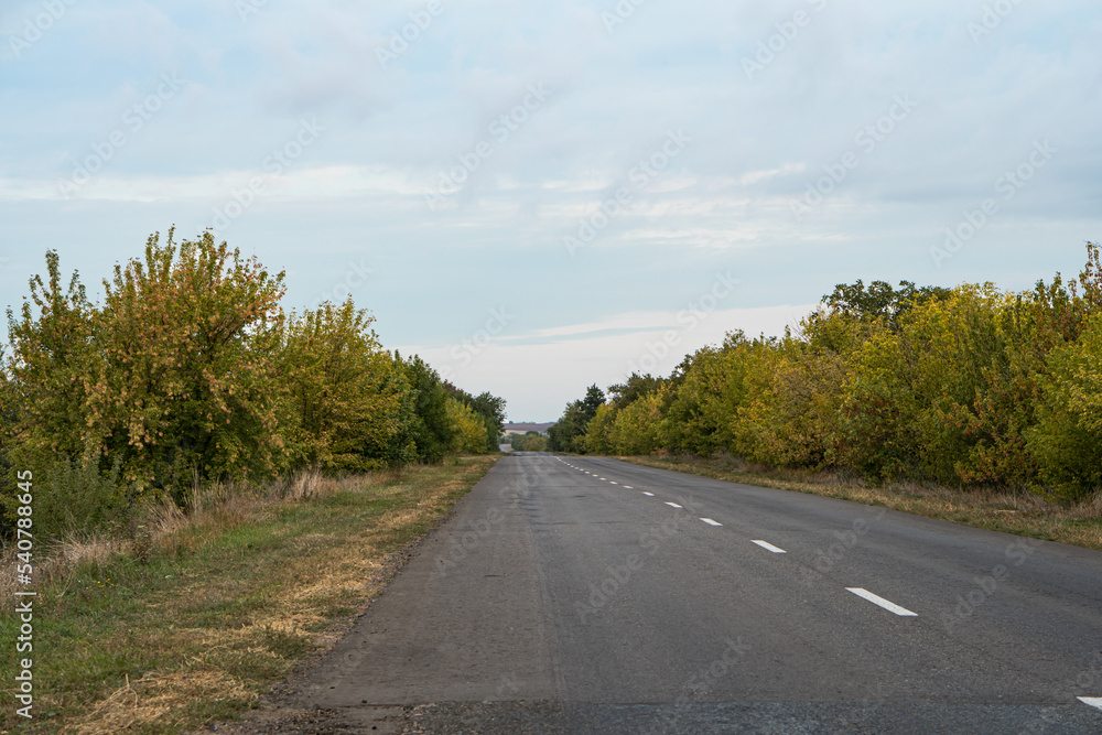 asphalt road with trees on the roadside in autumn