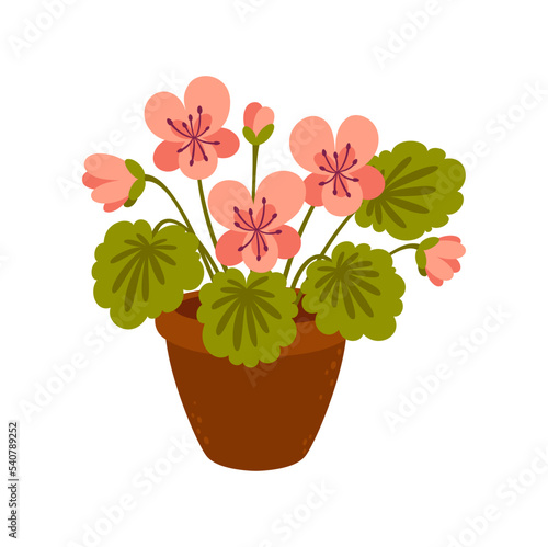 Home flower in pot vector cartoon icon. Vector blooming flowers in flowerpot, floral decoration, pink flowers and green leaves