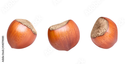 Hazelnuts isolated on white or transparent background. Collection of three whole filbert nuts photo