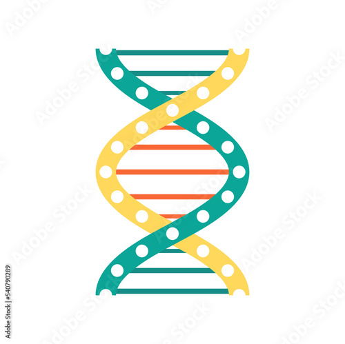 DNA molecule twisted spiral, cartoon helix, genetic code. Vector biotech formula helical structure of chromosome cells. Human genes chain genome