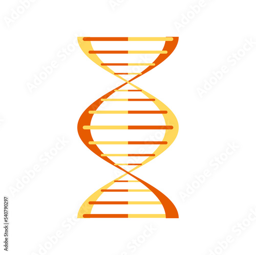 Genetic code isolated twisted DNA molecule helix structure cartoon design model. Vector gene spiral or helical shape chromosome