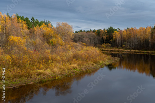 Autumn on the banks of Gauja
