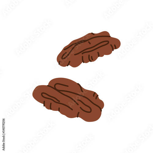 Chocolate cocoa bean in pod isolated cartoon whole grain. Vector superfood walnut, coffee pod. Brown walnut kernel, raw nut