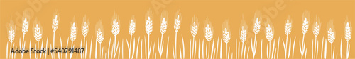 Vector horizontal illustration of wheat hand-drawn in doodle style