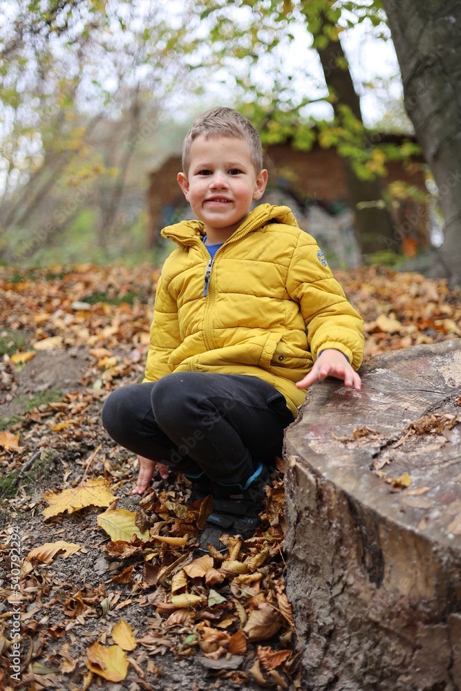 child in autumn forest child in autumn forest